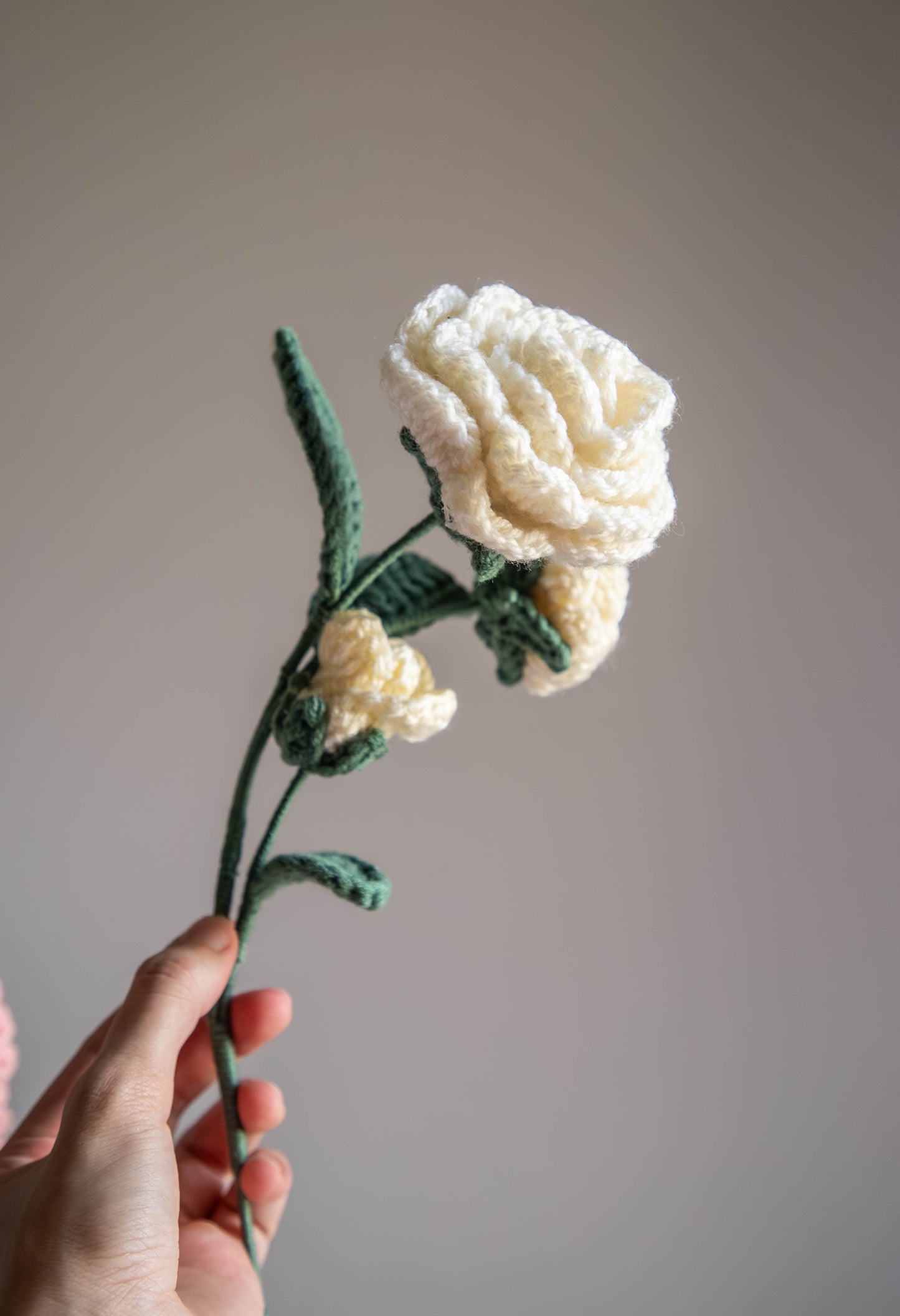 White Rose (multistem) - Forever Bloom