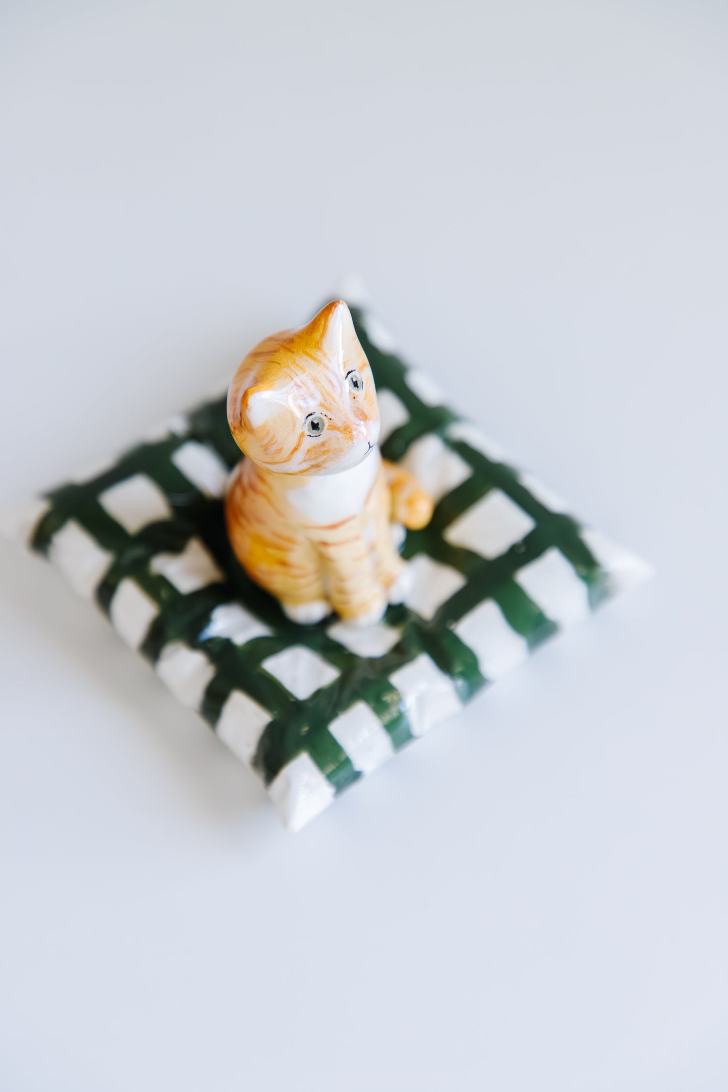 Customized Mini Cat (pillow base)