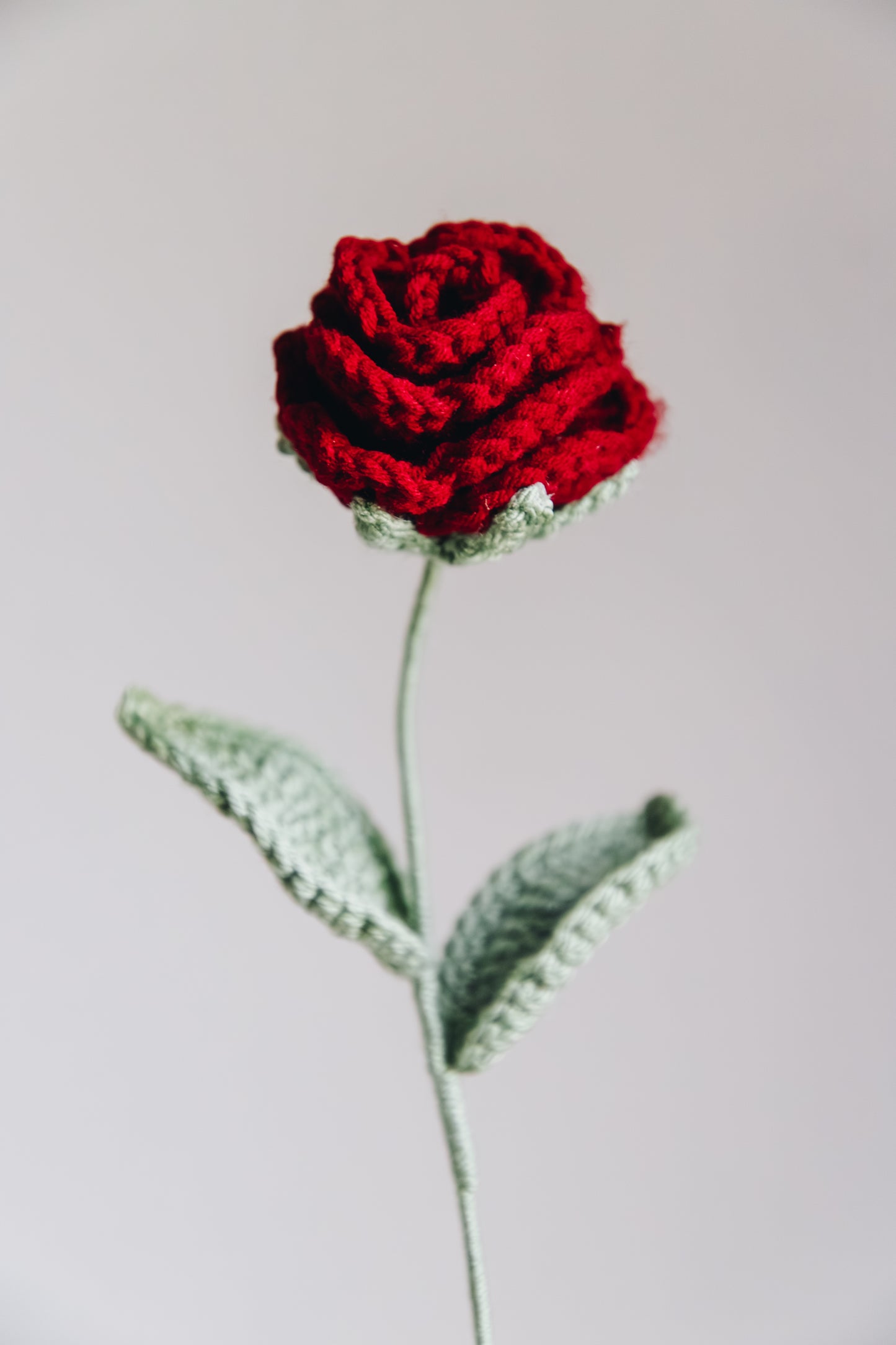 Red Rose - Forever Blooms