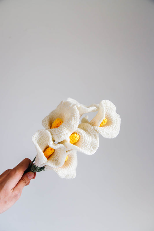 Calla Lily - Bunch