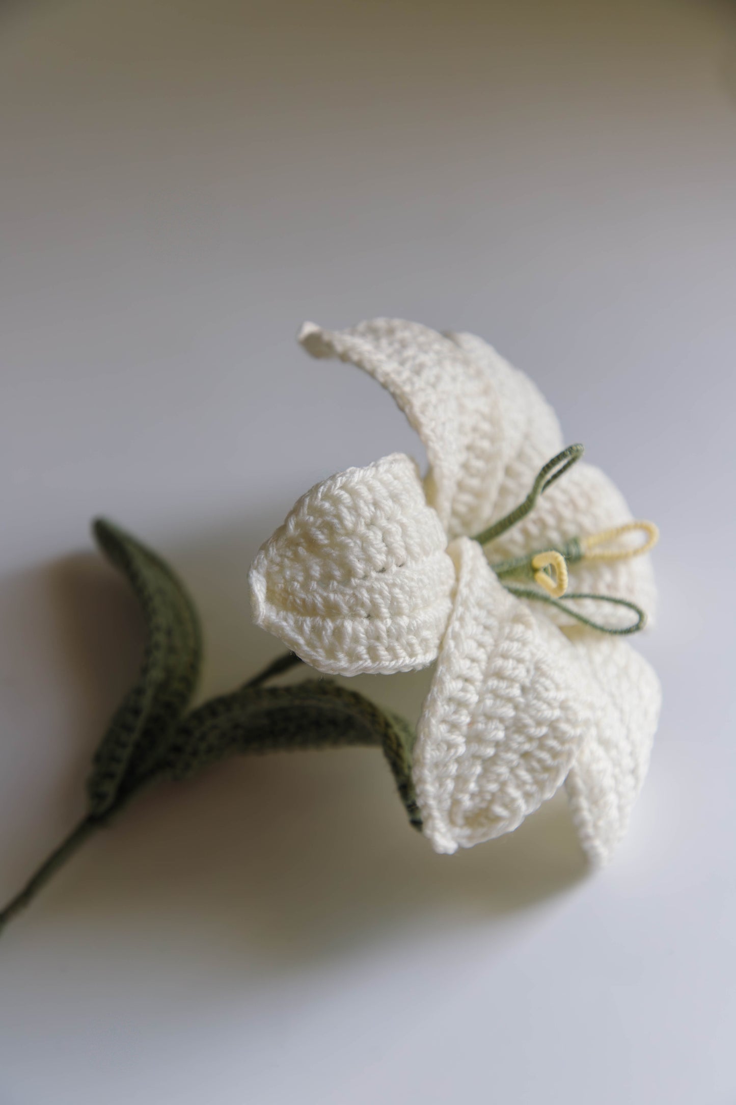 White Lily - Forever Bloom