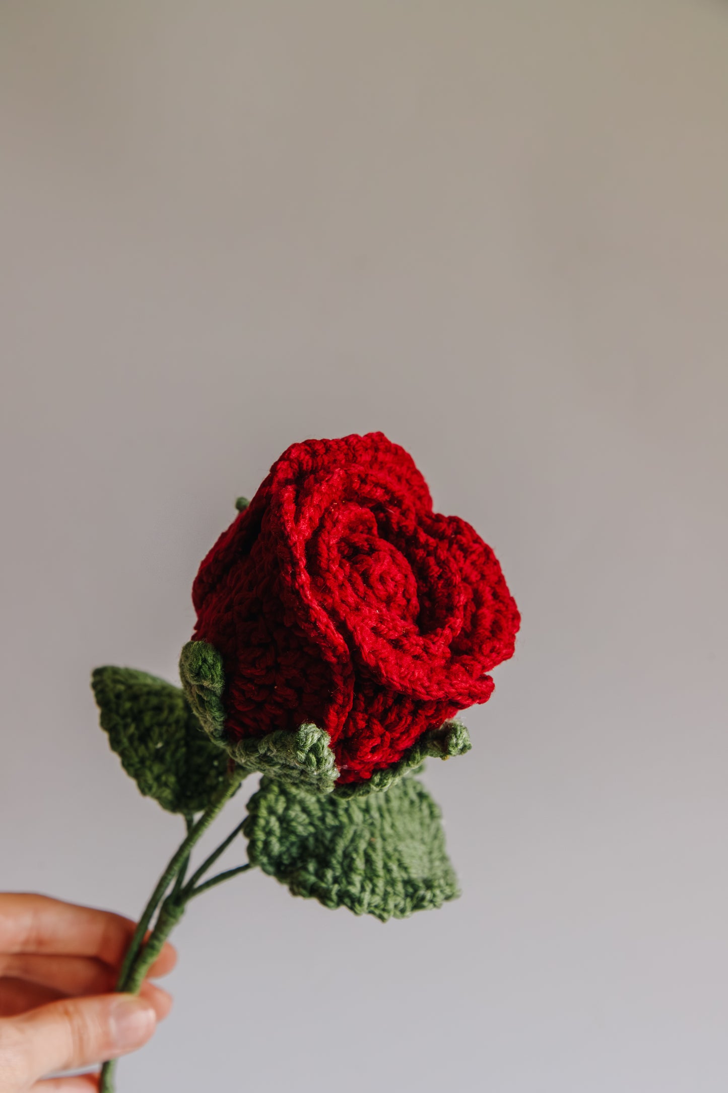 Special Red Rose